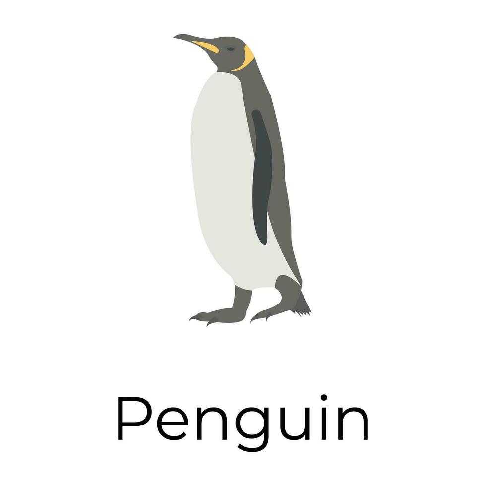 Trendy Penguin Concepts vector