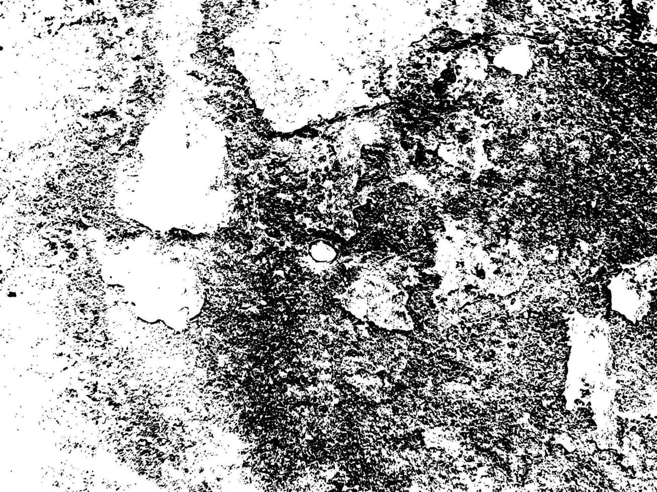 Grunge texture white and black vector
