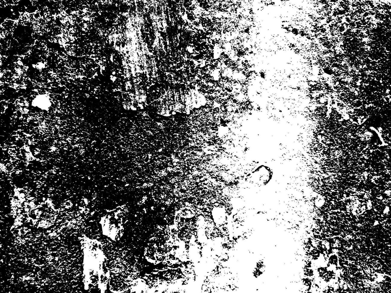 Grunge texture white and black vector