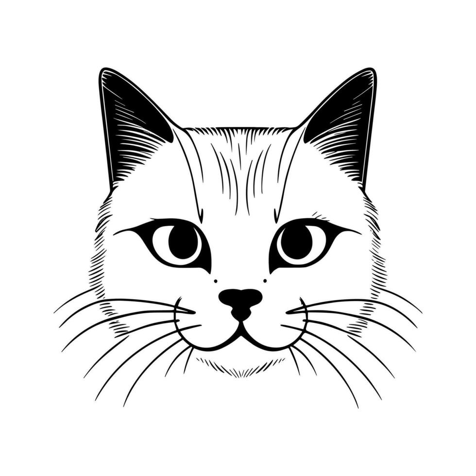 Cute cat vector black and white cartoon character design collection. White background. Pets, Animals.