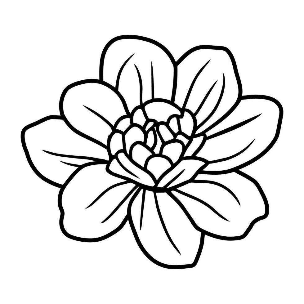 mano dibujado sencillo flor ilustración vector