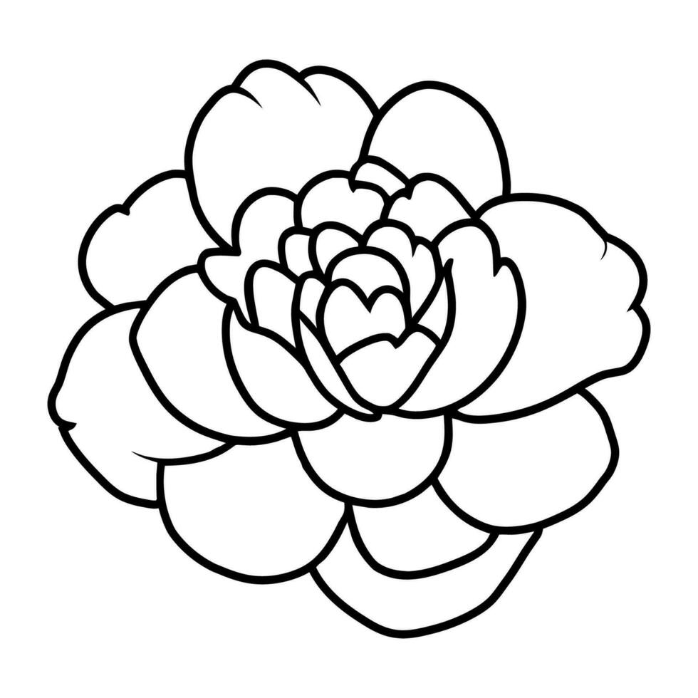 mano dibujado sencillo flor ilustración vector