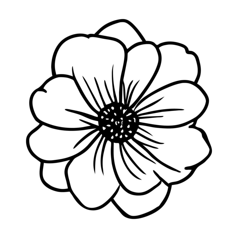 Hand drawn simple flower illustration vector