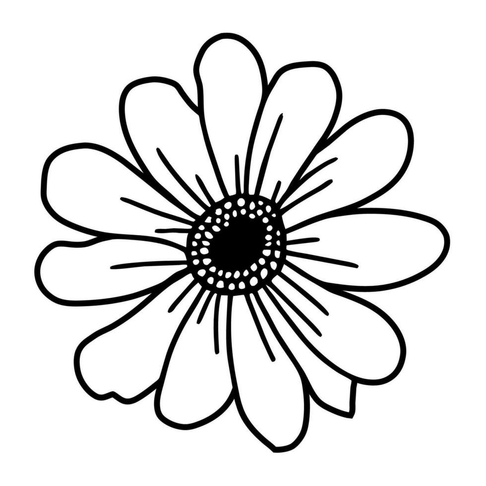 Hand drawn simple flower illustration vector