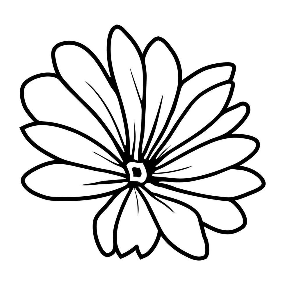 Hand drawn simple flower illustration vector