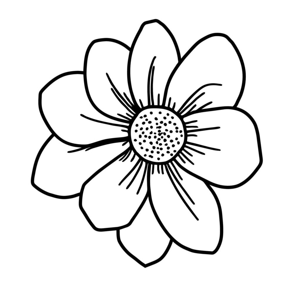 Hand drawn simple flower illustration vector
