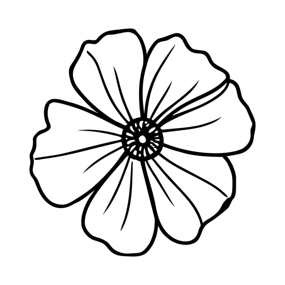 Hand drawn simple flower illustration vector