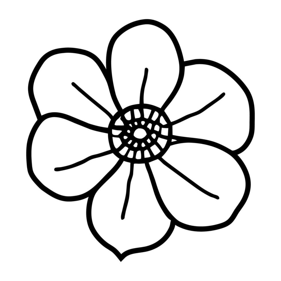 Hand drawn simple flower illustration vector