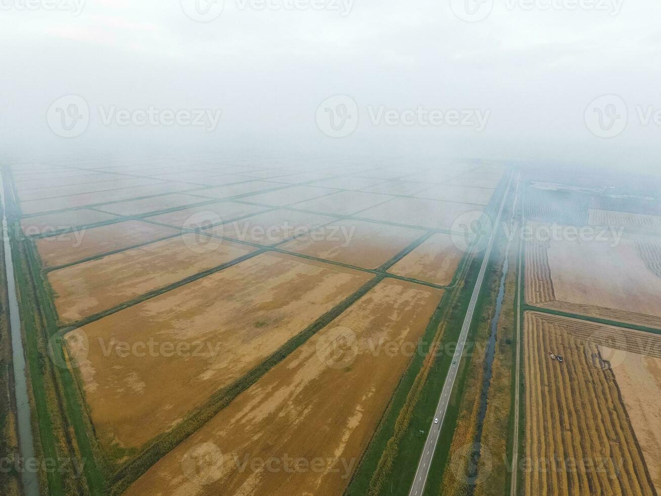 Burning straw in the fields after harvesting wheat crop photo