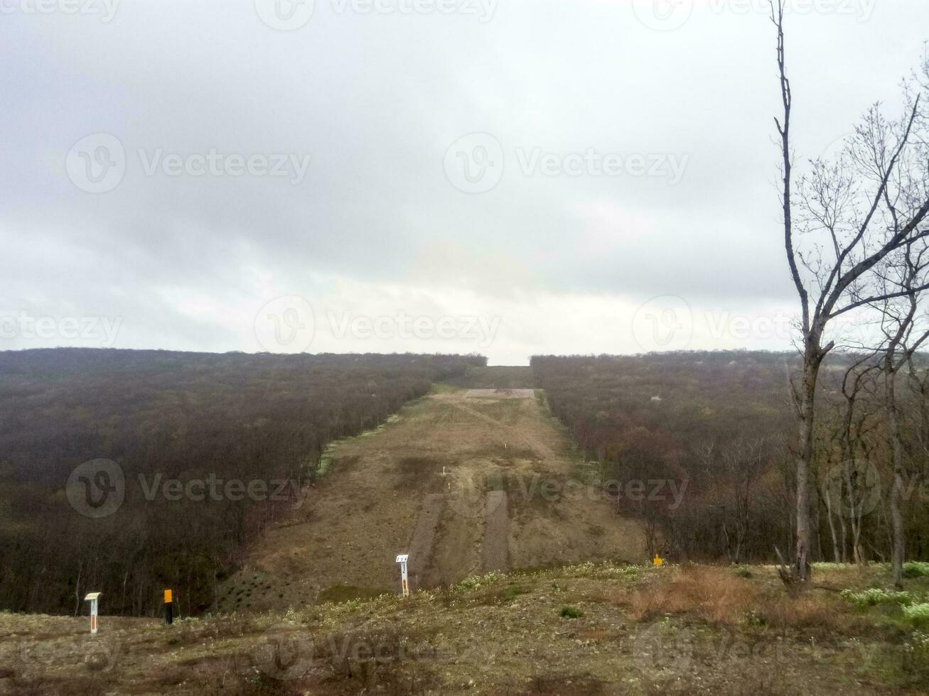 A clearing in the forest for the gas pipeline photo