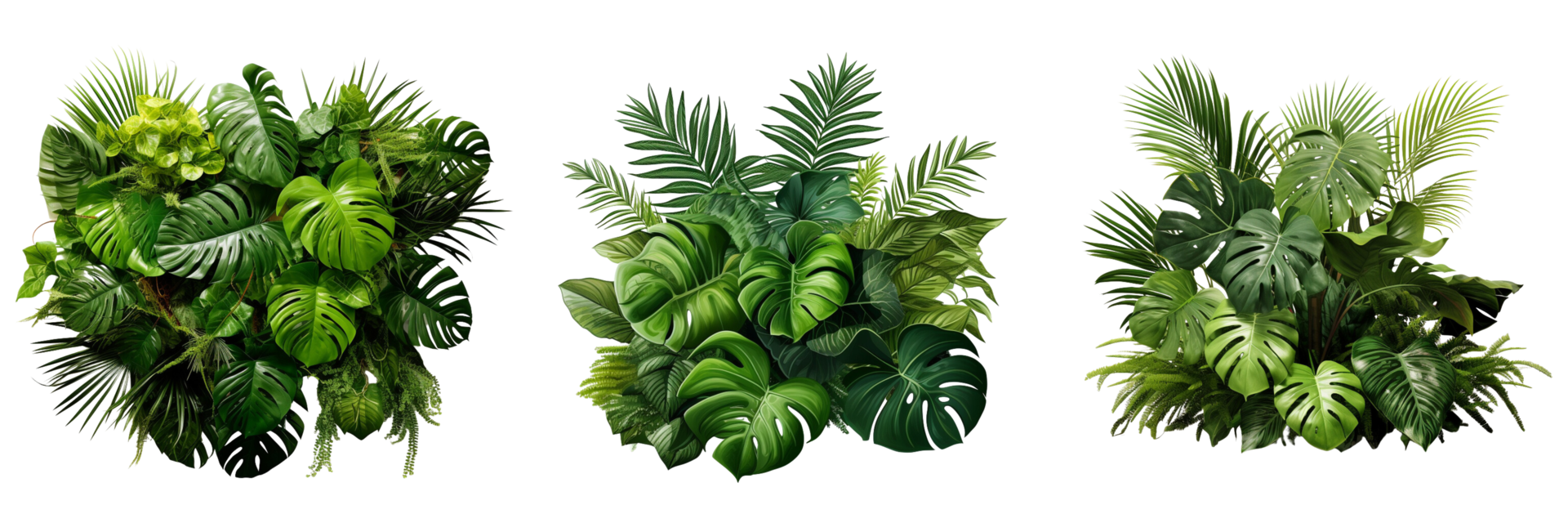 AI generated set of tropical leaves foliage plant jungle bush floral arrangement nature backdrop on transparent background png