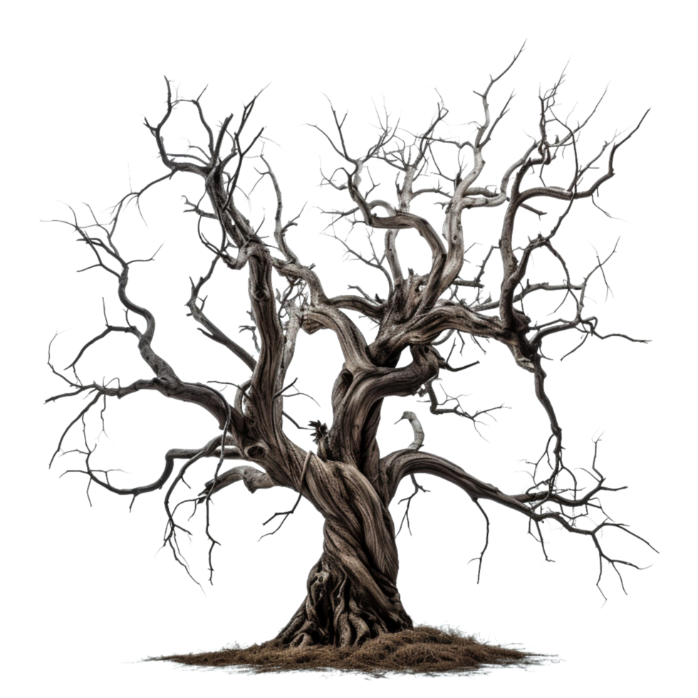 AI generated creepy dead tree Isolated on transparent background png