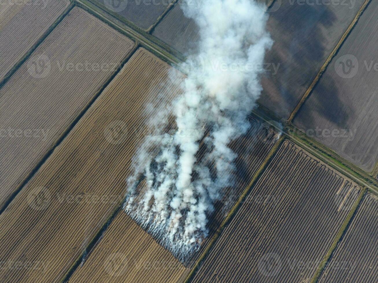 Burning straw in the fields after harvesting wheat crop photo