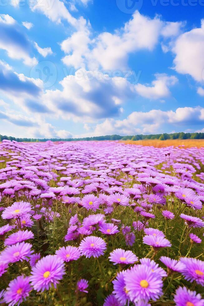 ai generado vasto púrpura campo de margaritas debajo un nublado cielo foto