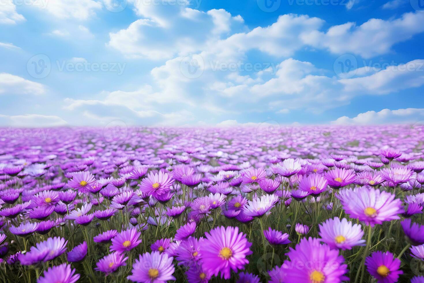 AI generated Bright Sky Above Blooming Purple Daisy Field photo