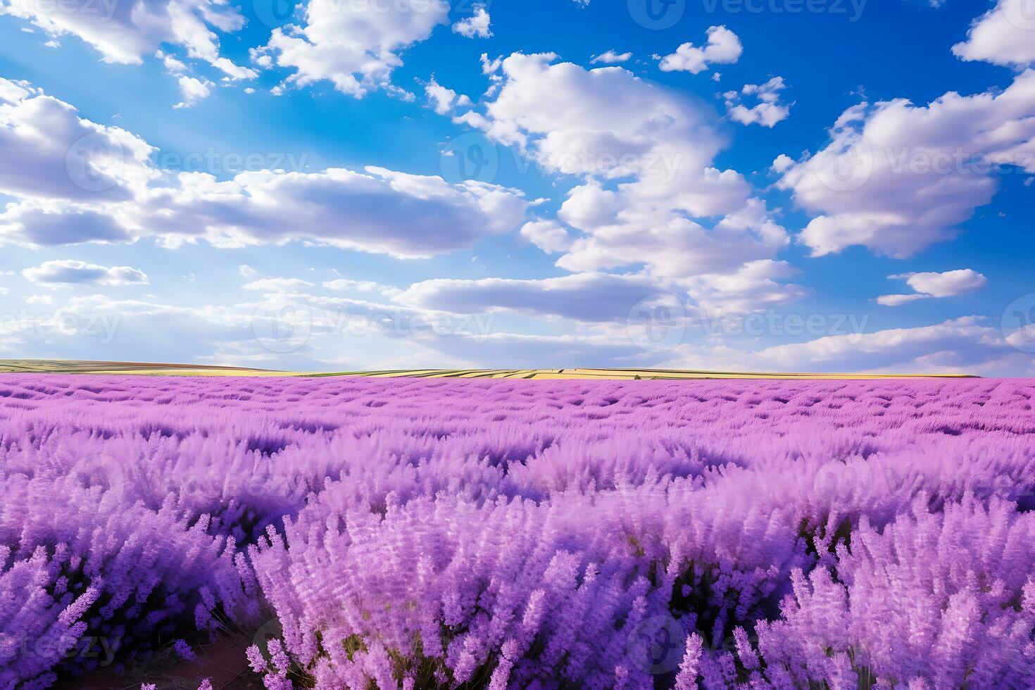 AI generated Expansive Lavender Field and Cloudy Horizon photo