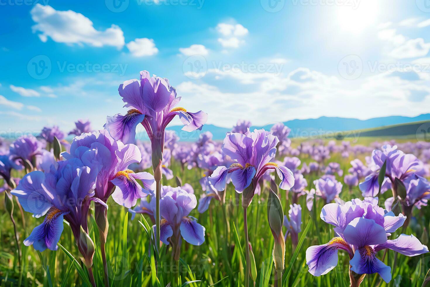 AI generated Purple Iris Field with Mountain Backdrop photo