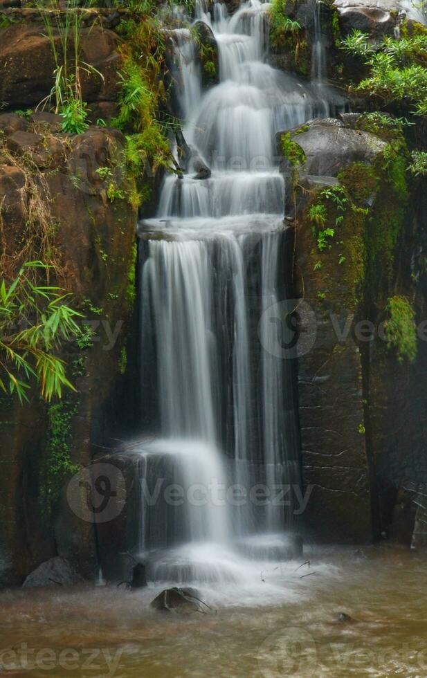 tad-pa Suam cascada, del Sur Laos foto