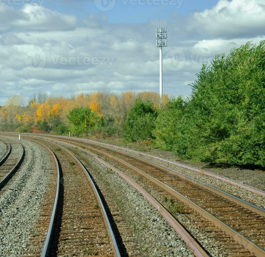 ferrocarril pista a través de el otoño bosque foto