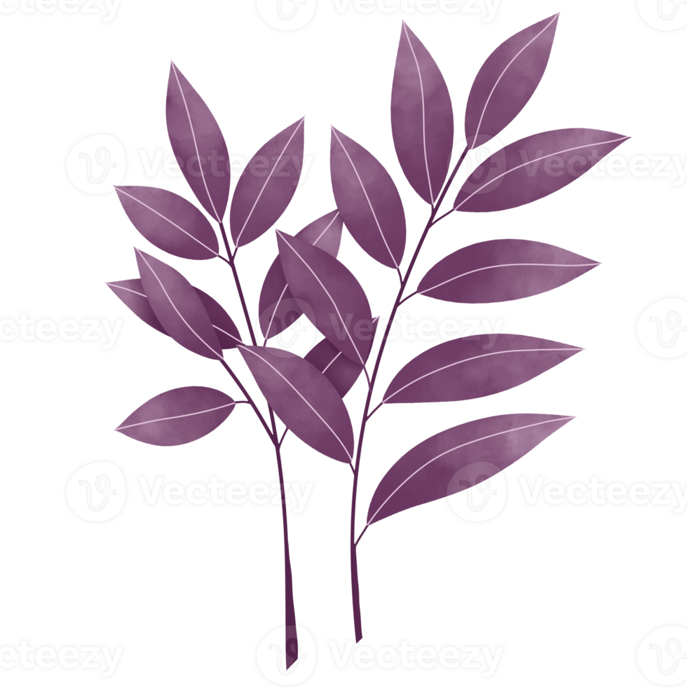 Watercolor Leaves Clipart png