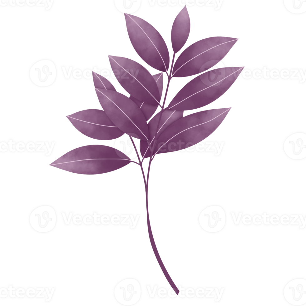 Watercolor Leaves Clipart png