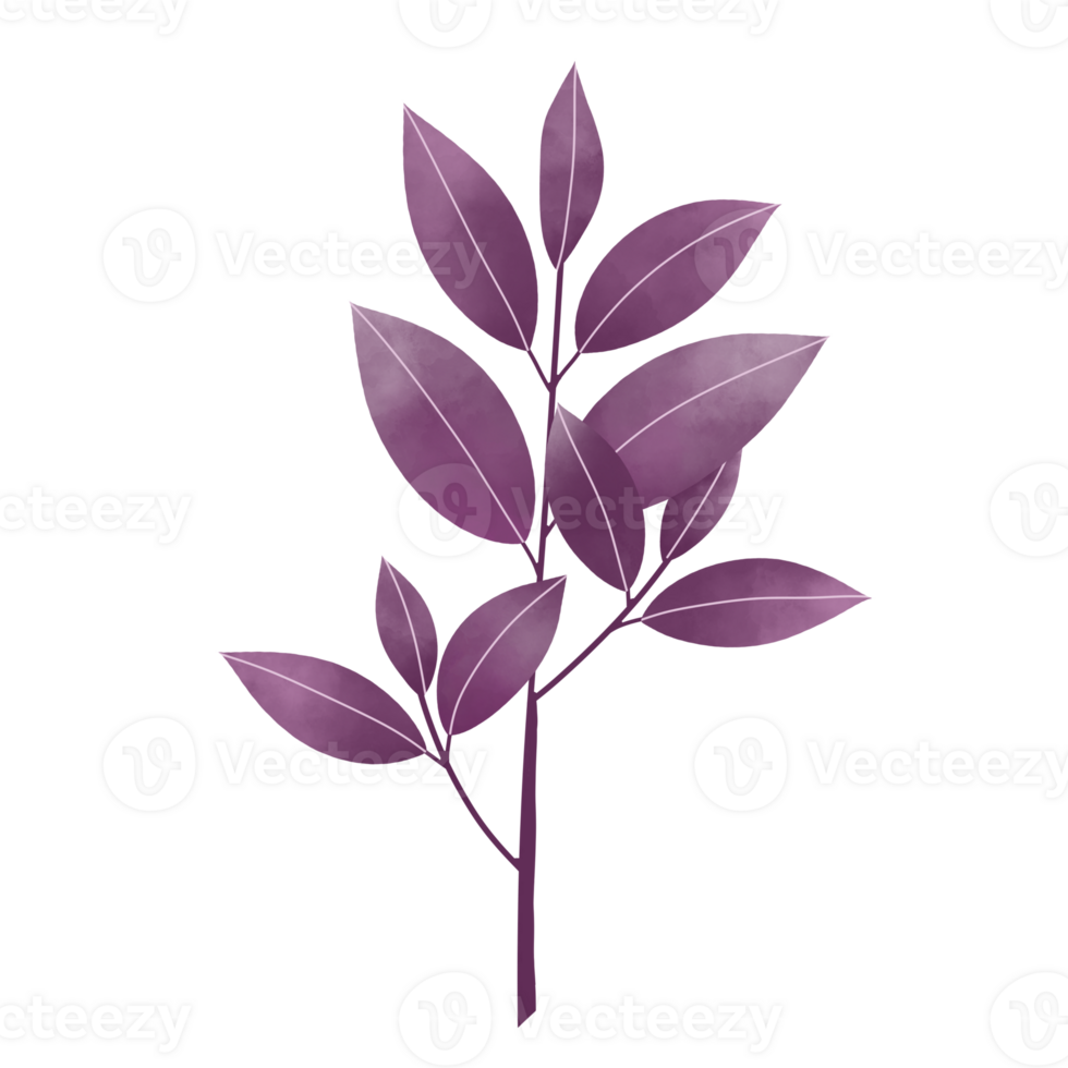 Watercolor Leaves Clipart png