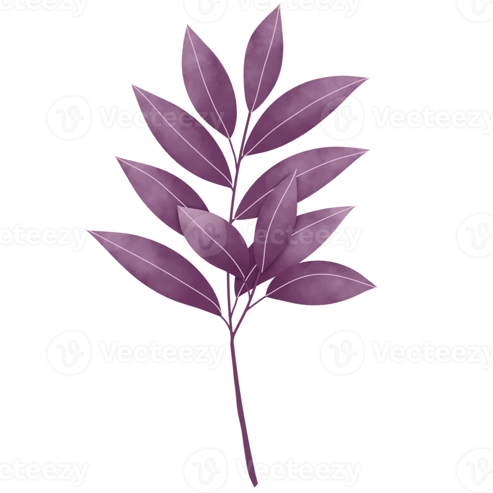 Watercolor Leaves Clipart png