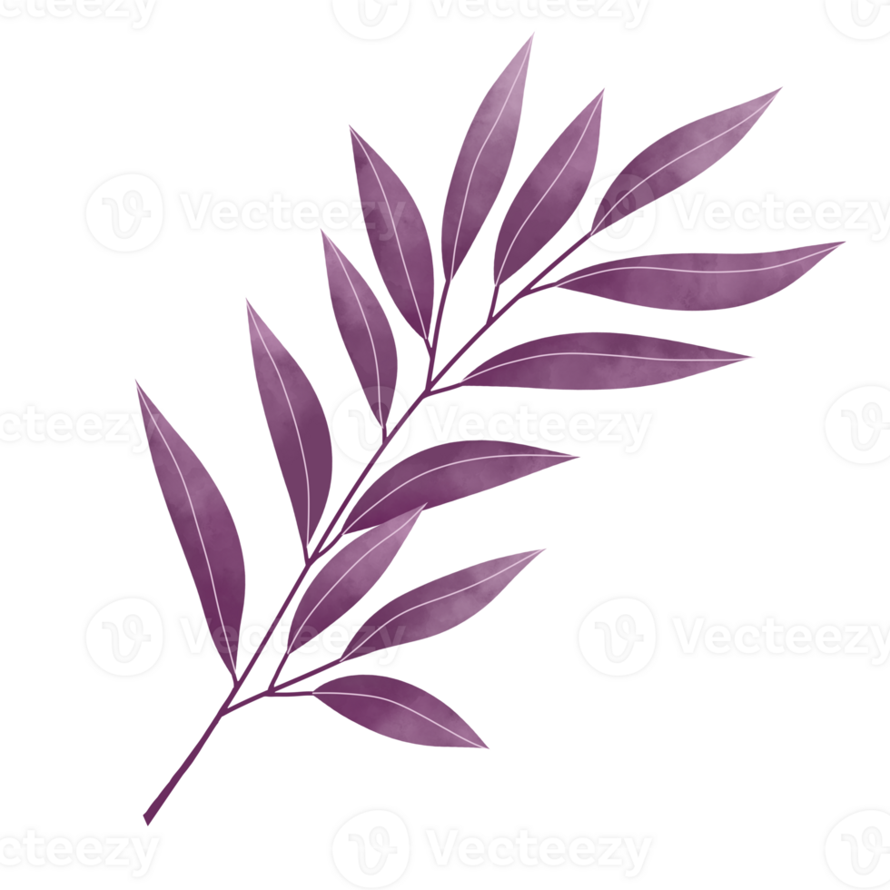 Watercolor Leaves Clipart png