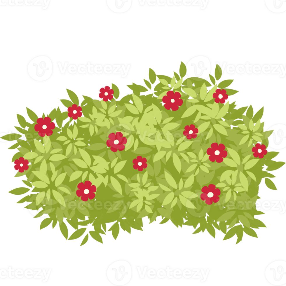 buske med blommor illustration png