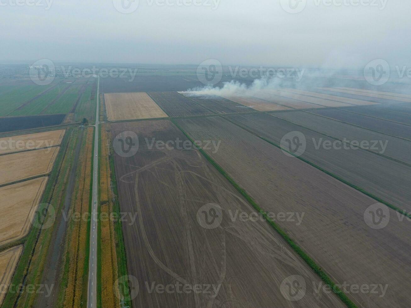 Burning straw in the fields after harvesting wheat crop photo