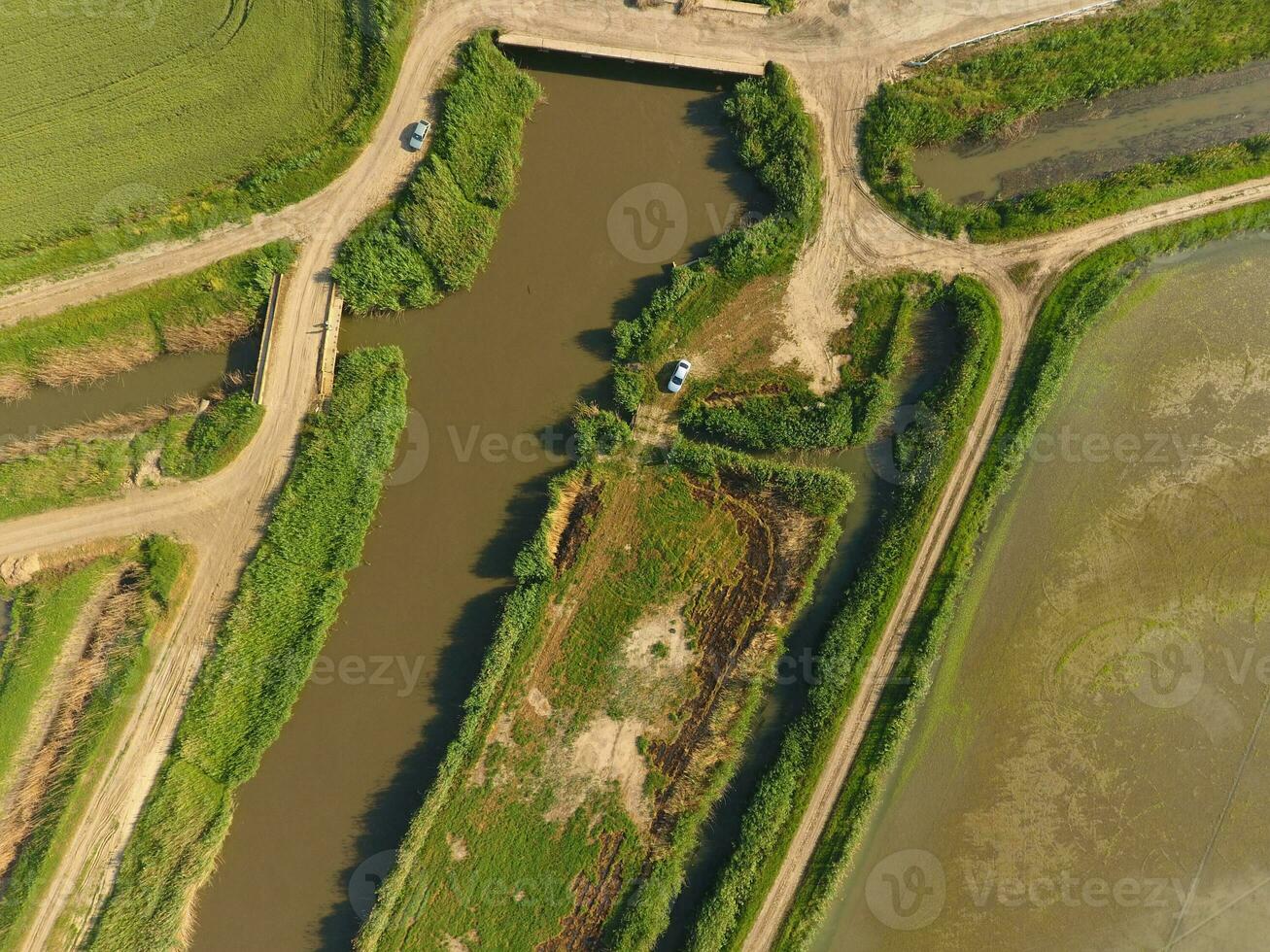 The rice fields are flooded with water. Flooded rice paddies. Agronomic methods of growing rice in the fields. photo