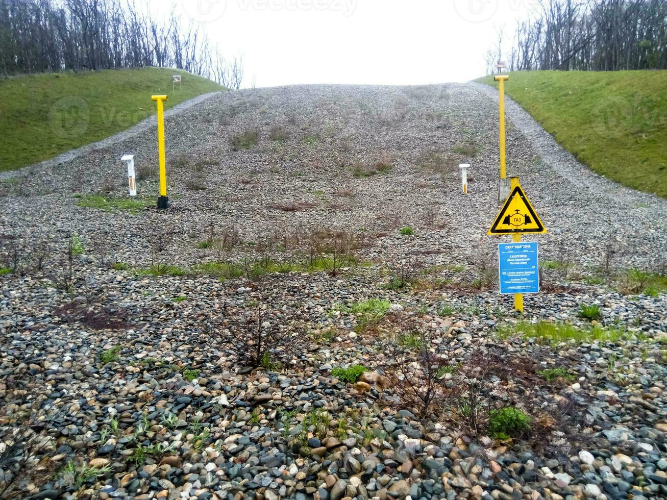 A clearing in the forest for the gas pipeline photo
