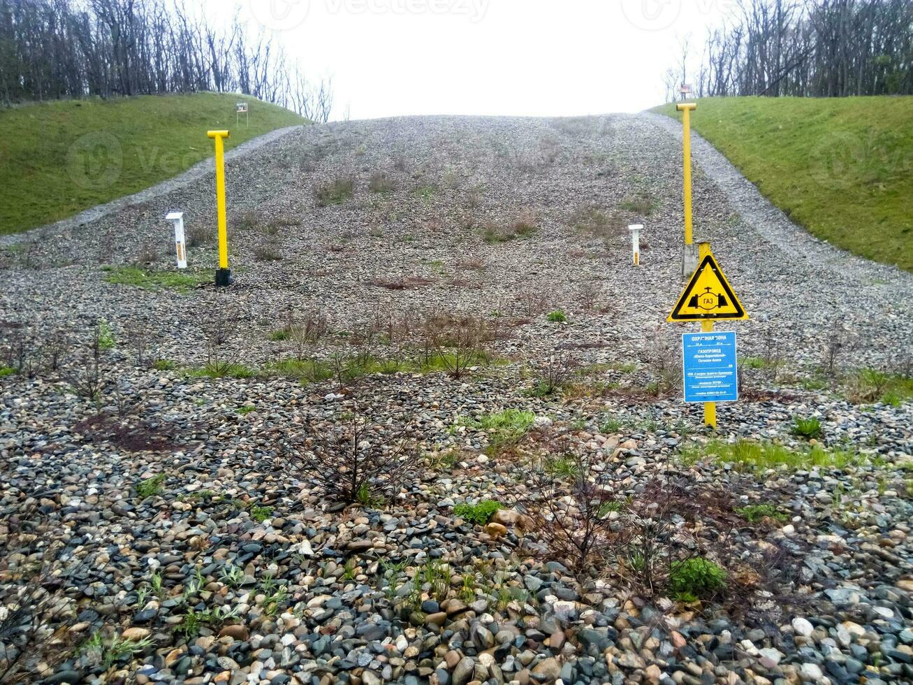 un claro en el bosque para el gas tubería foto