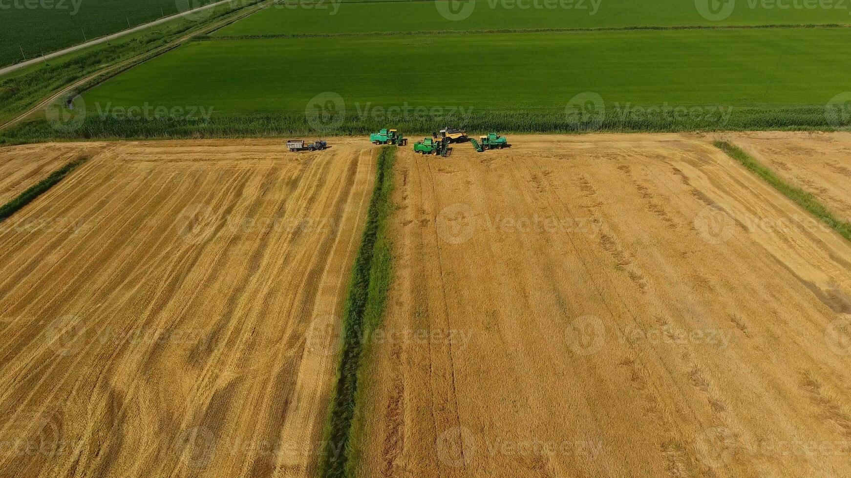 Harvesting barley harvesters. Fields of wheat and barley, the work of agricultural machinery. Combine harvesters and tractors photo