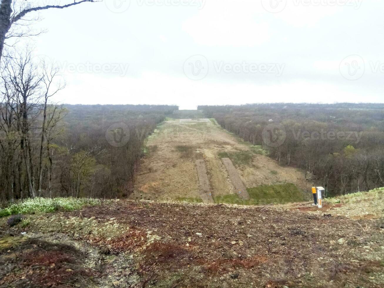 A clearing in the forest for the gas pipeline photo