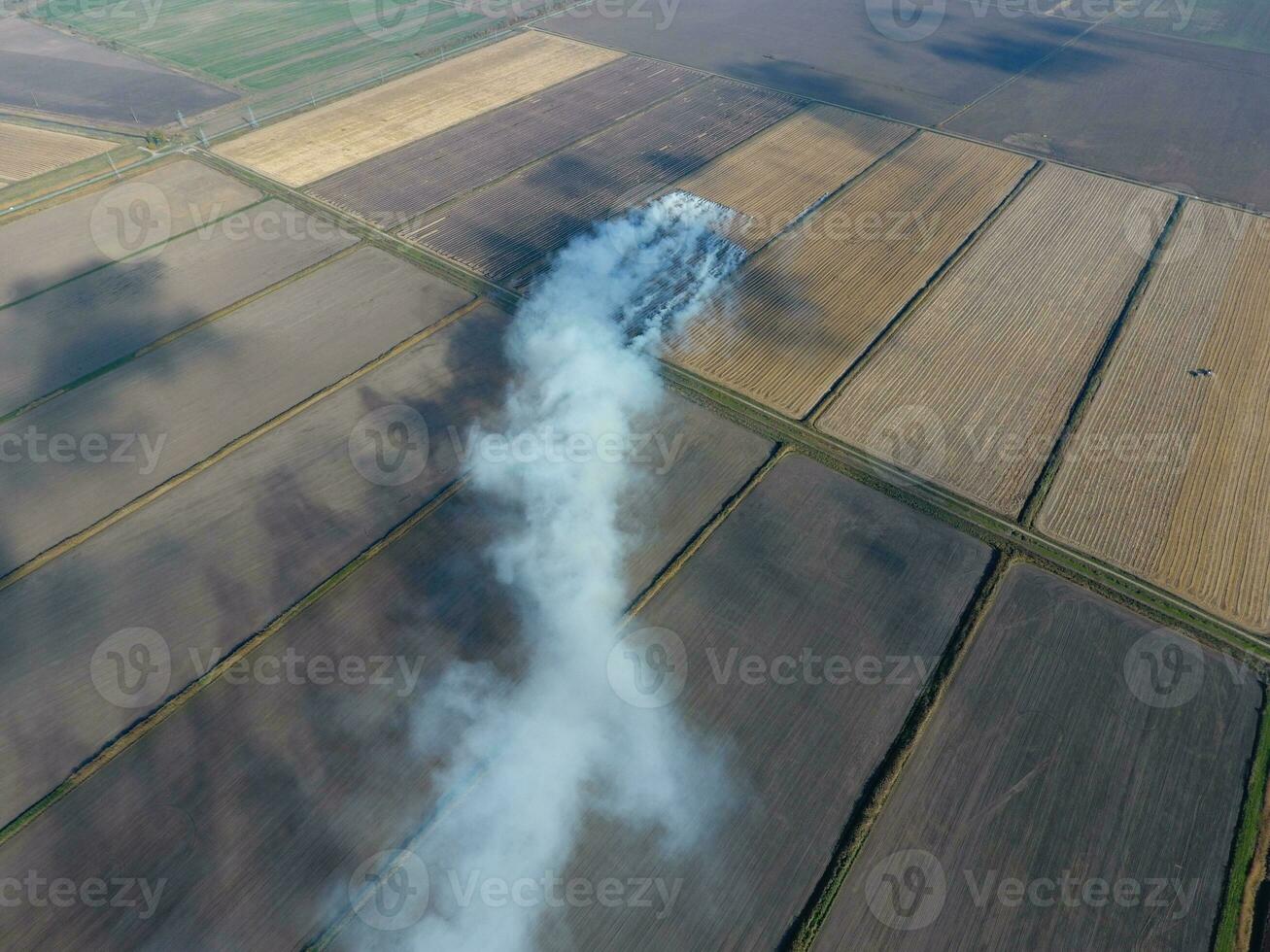 Burning straw in the fields after harvesting wheat crop photo