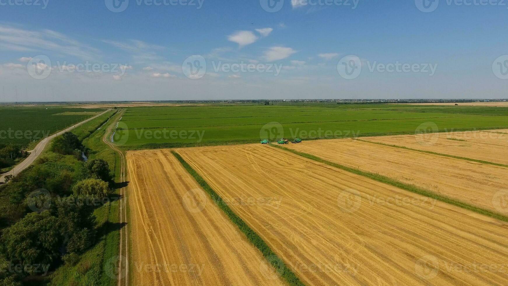 Harvesting barley harvesters. Fields of wheat and barley, the work of agricultural machinery. Combine harvesters and tractors photo