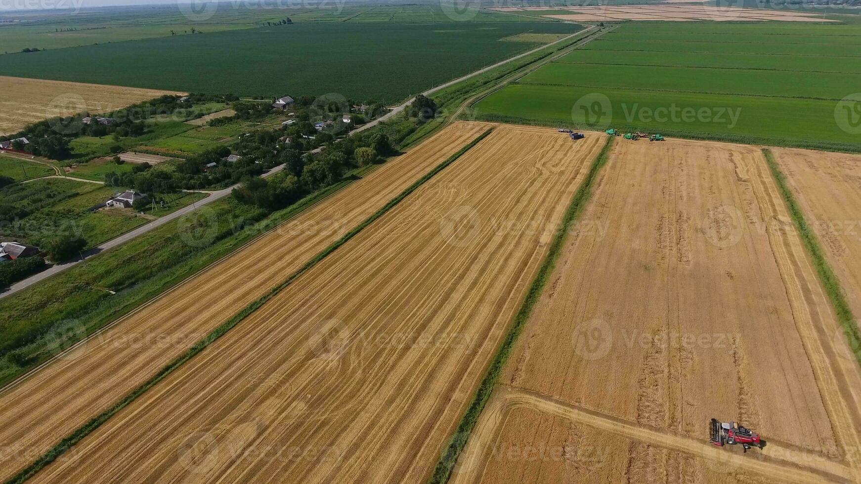 Harvesting barley harvesters. Fields of wheat and barley, the work of agricultural machinery. Combine harvesters and tractors photo