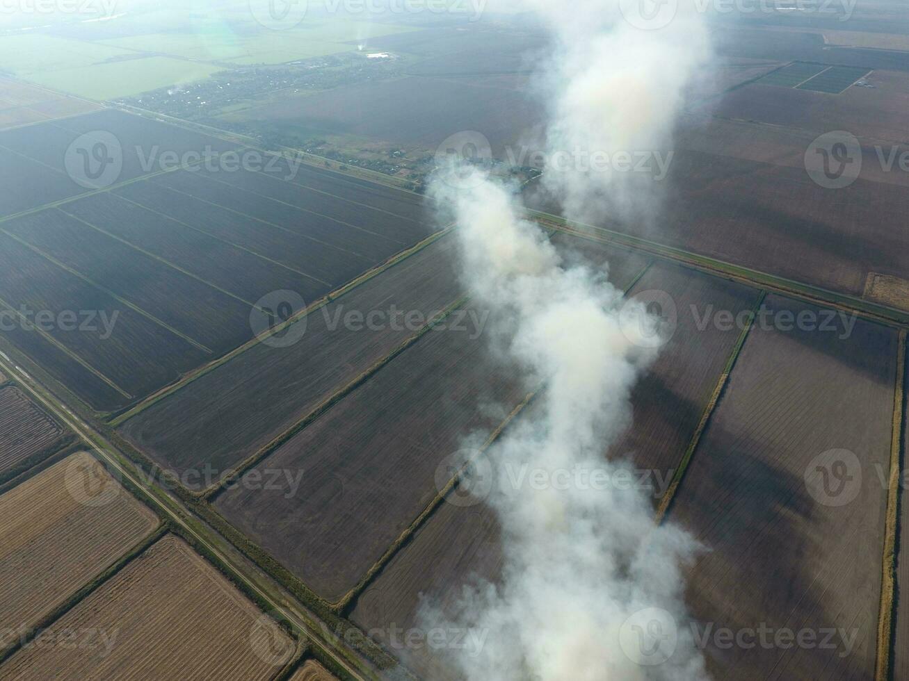Burning straw in the fields after harvesting wheat crop photo