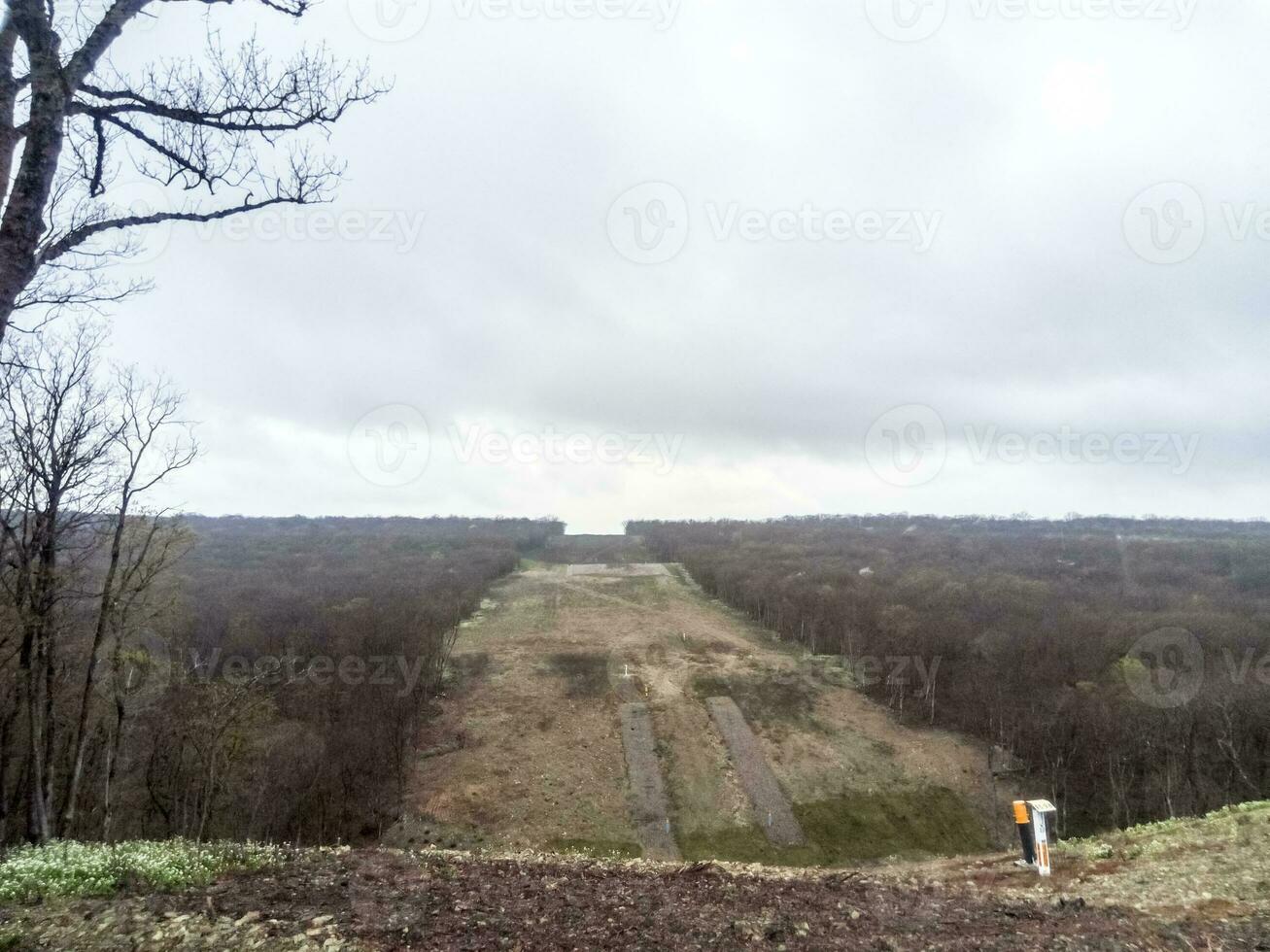A clearing in the forest for the gas pipeline photo