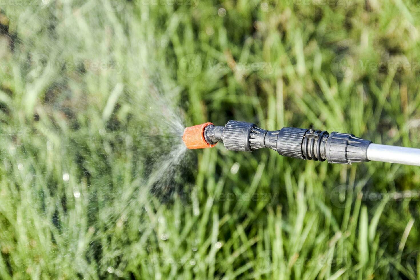 Spraying herbicide from the nozzle of the sprayer manual photo