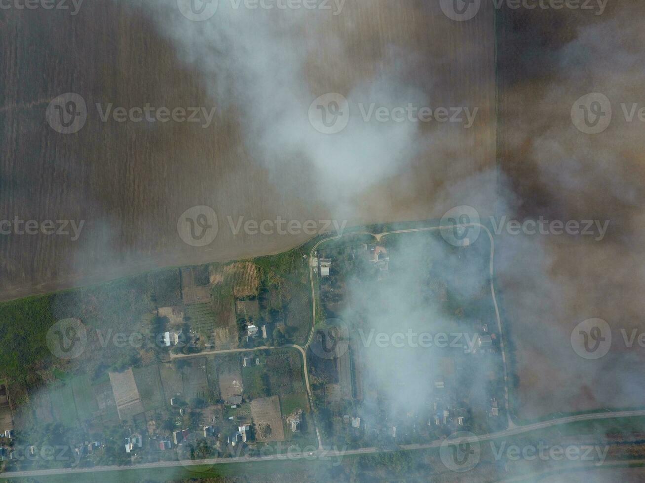 Burning straw in the fields after harvesting wheat crop photo
