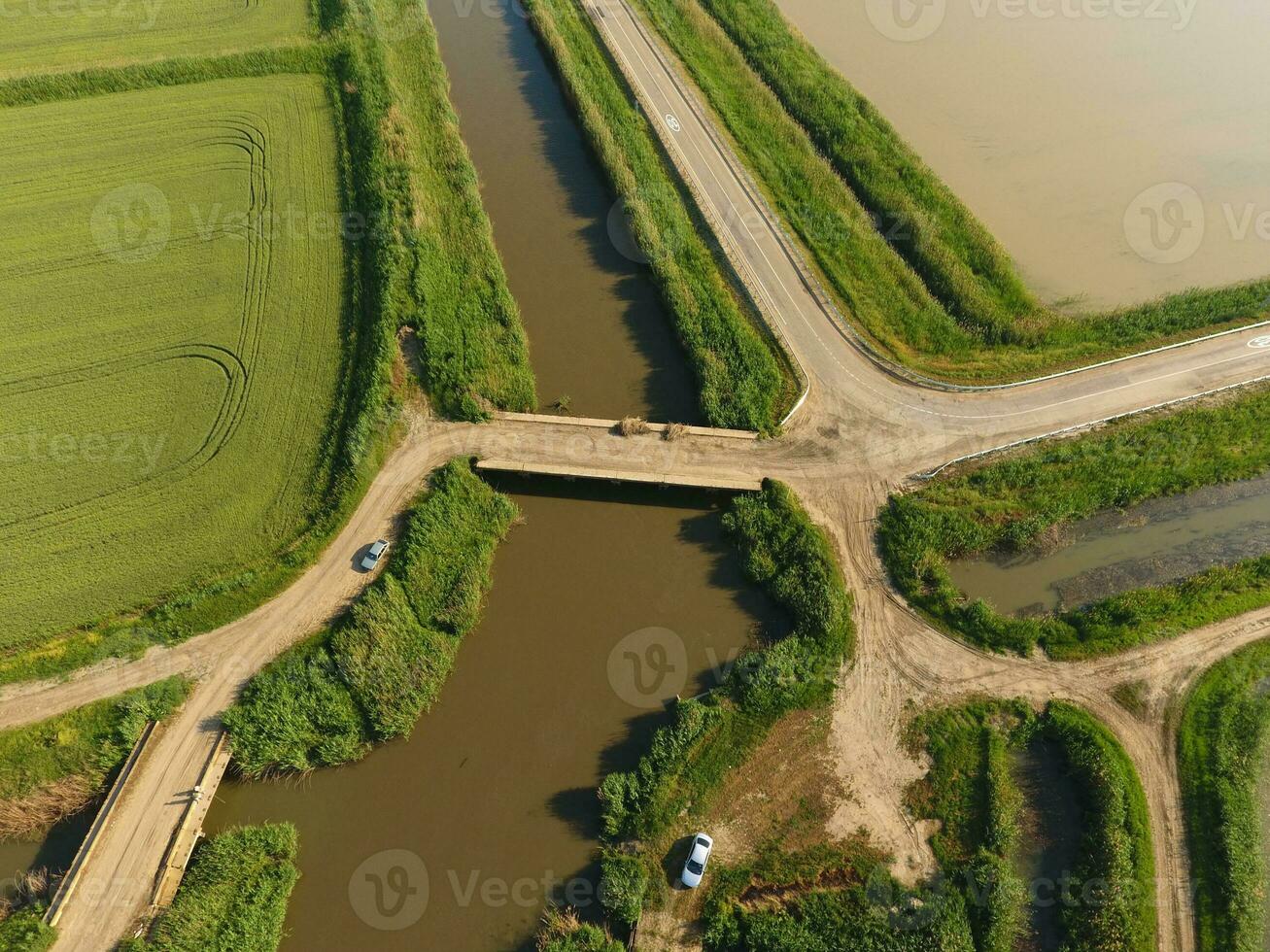 The rice fields are flooded with water. Flooded rice paddies. Agronomic methods of growing rice in the fields. photo