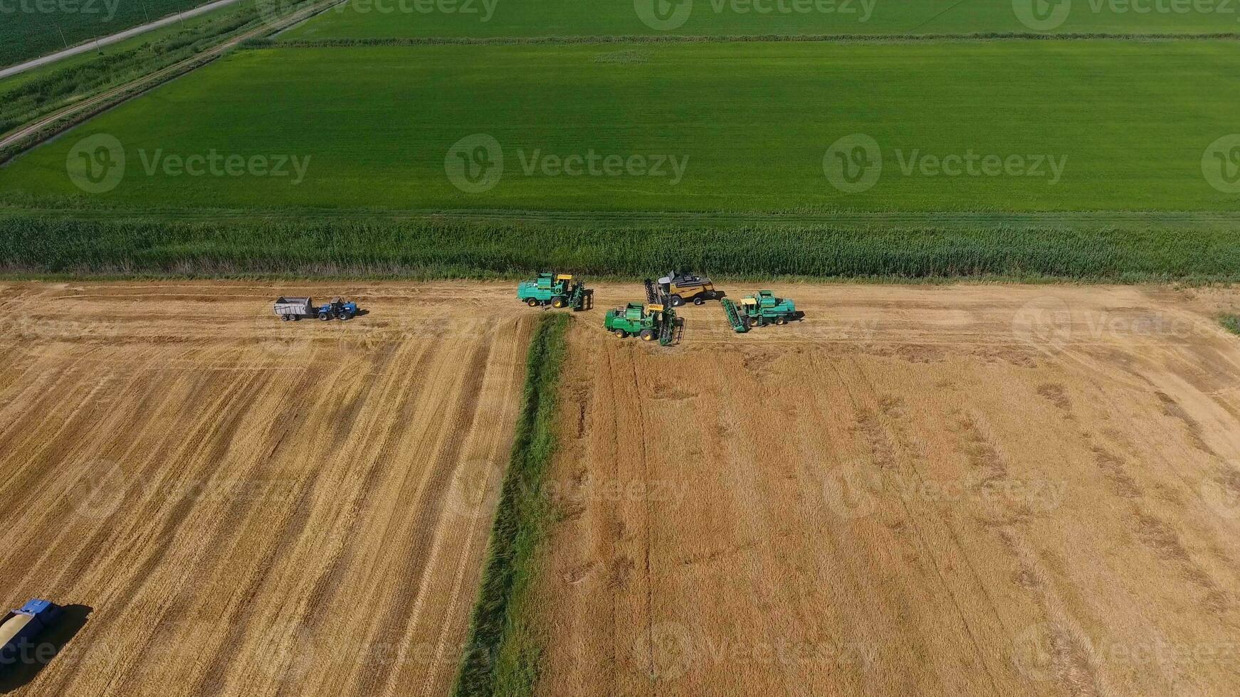 Harvesting barley harvesters. Fields of wheat and barley, the work of agricultural machinery. Combine harvesters and tractors photo