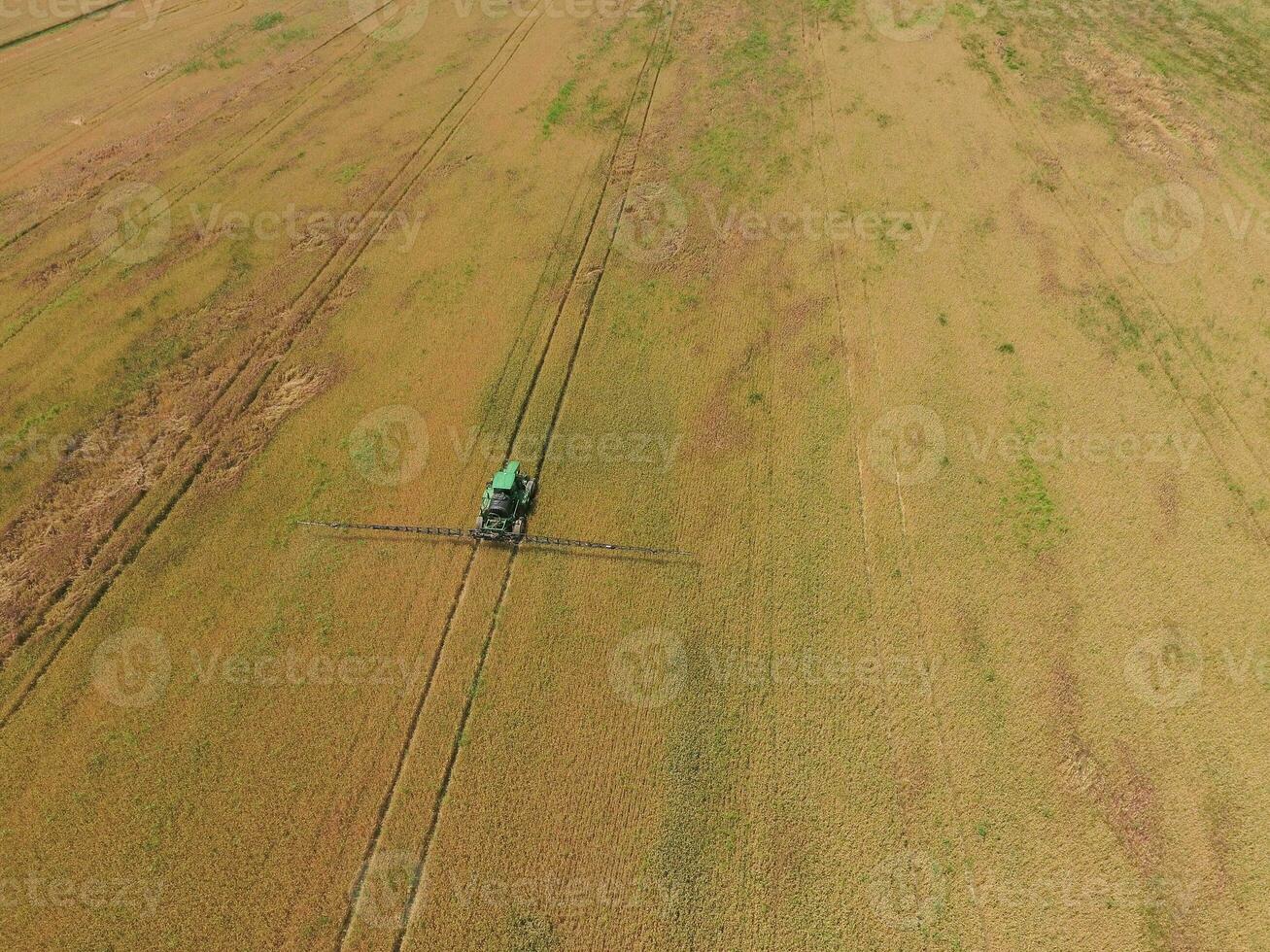 Adding herbicide tractor on the field of ripe wheat. View from above. photo