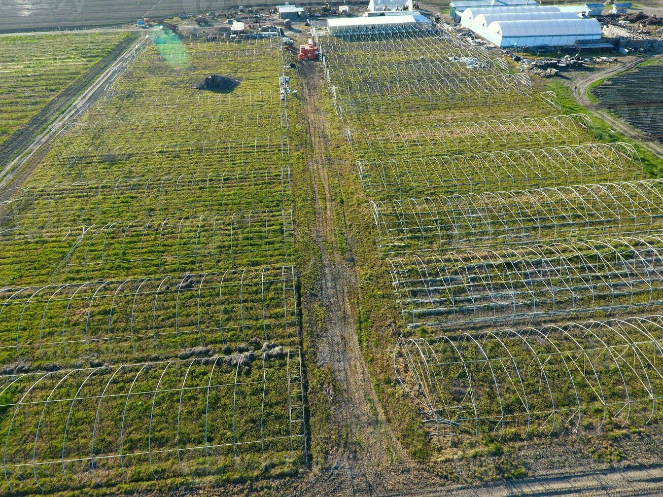 Frameworks of greenhouses, top view. Construction of greenhouses in the field. Agriculture, agrotechnics of closed ground photo