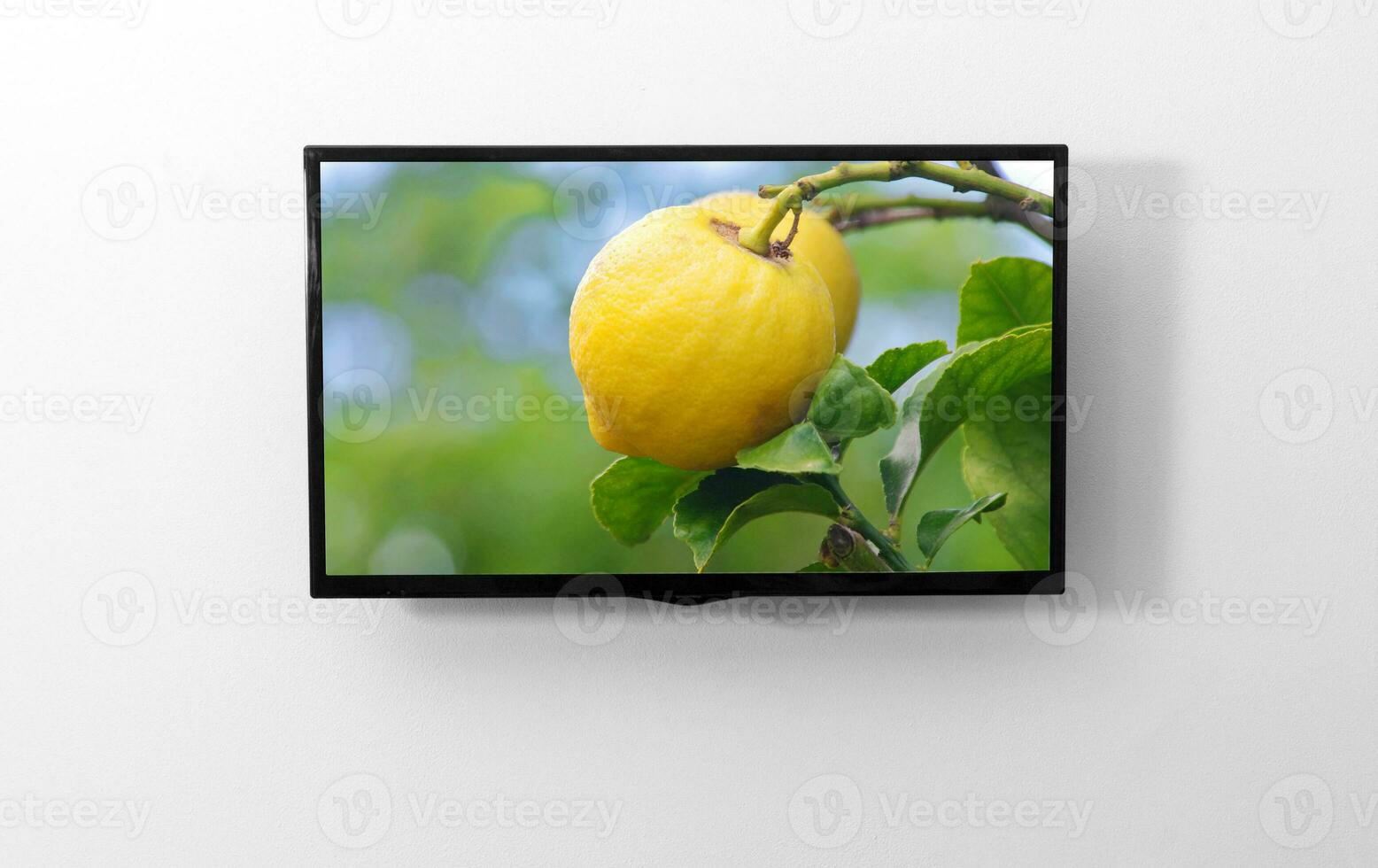 TV monitor on the wall photo