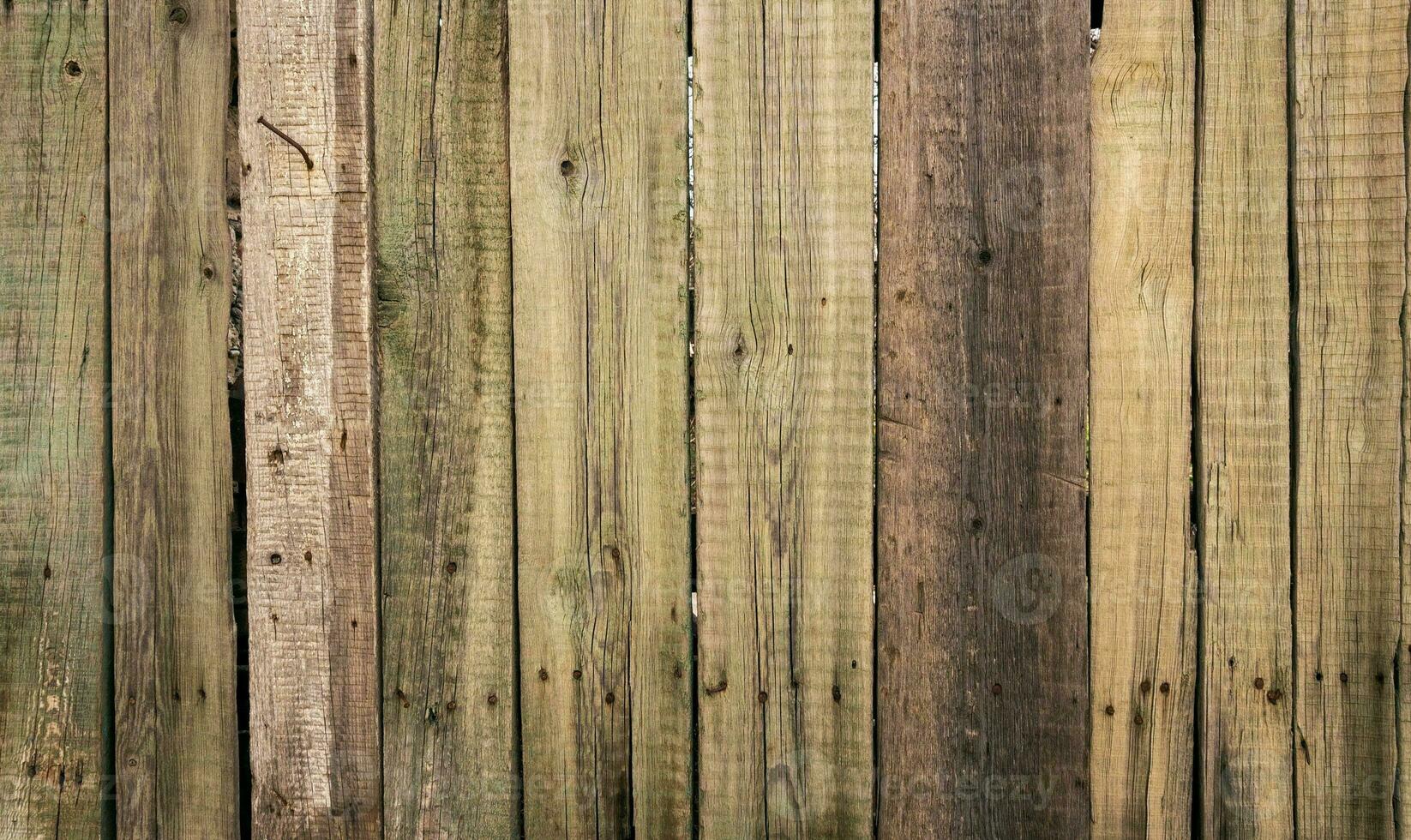 Abstract closeup of the wooden texture photo