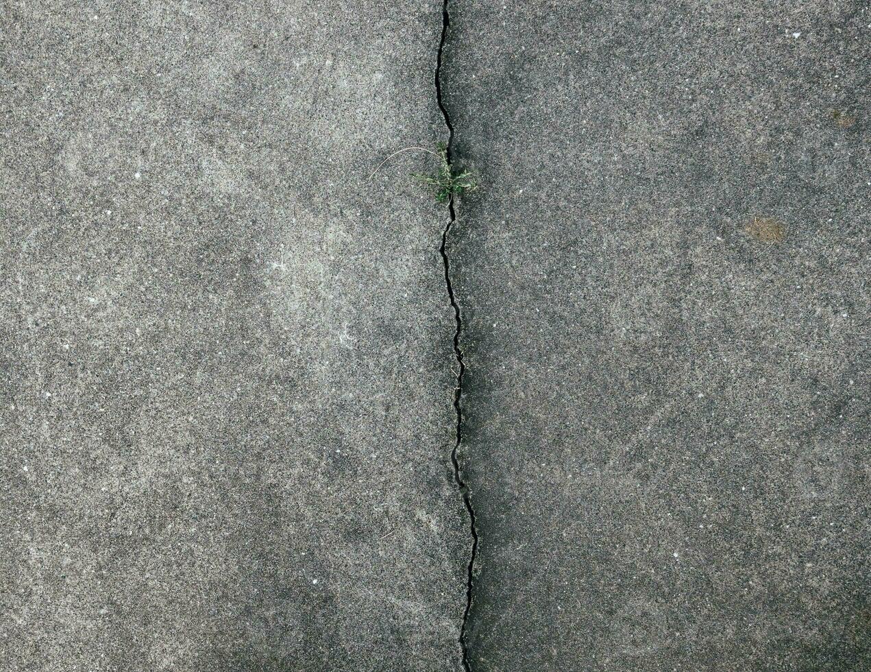 Closeup of the cracks in asphalt photo