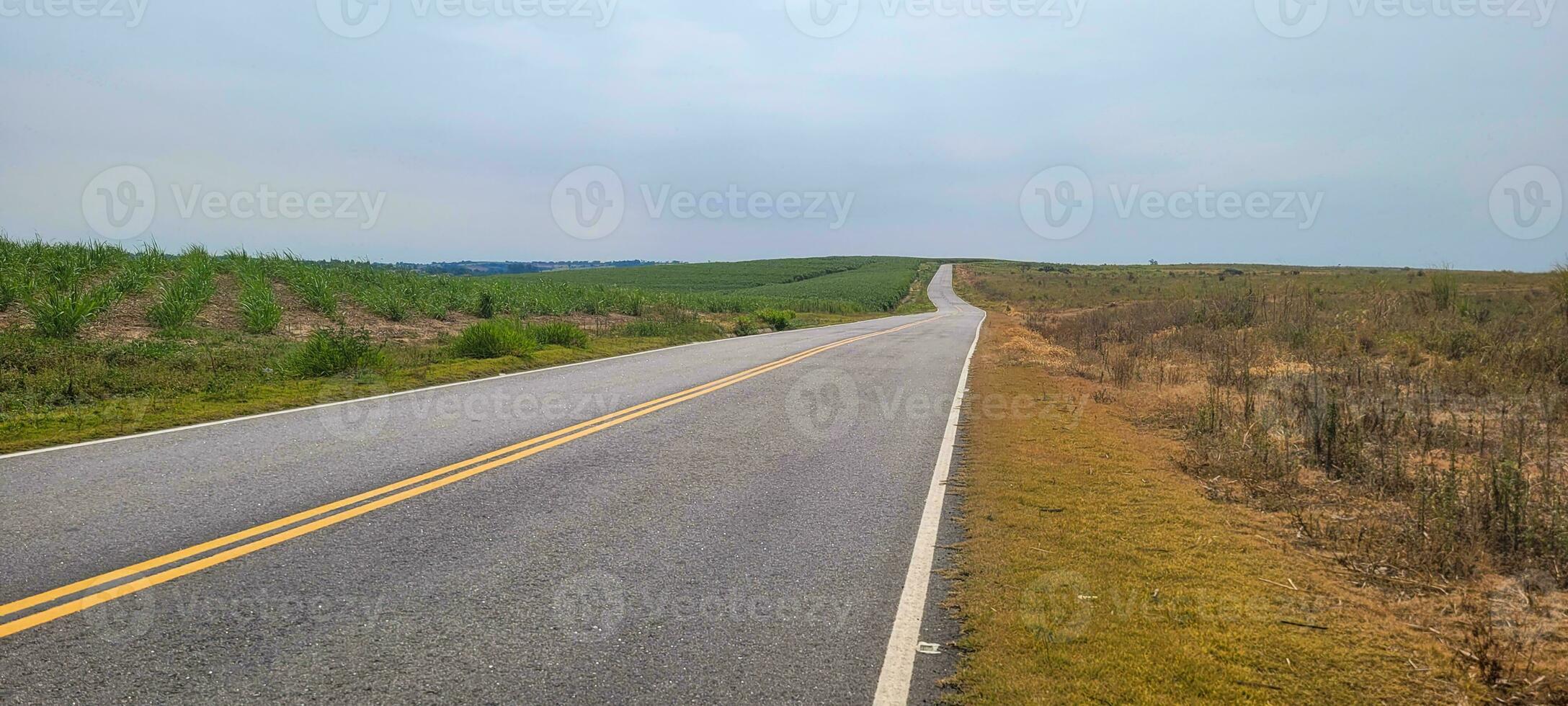 Explore the horizon on the desert road. A fascinating journey between lush vegetation and majestic mountains. Get this image and embark on endless visual possibilities photo